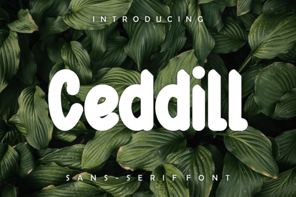 Ceddill Font: A Modern Display Typeface for Editorial Elegance