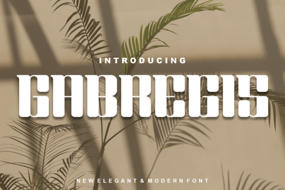 Gabregis Display Font for Modern Marketing Design